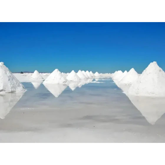 Lithium Extraction by Flotation from Salt Lake Brine Resources