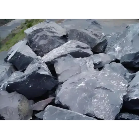 Recovery Test from Carbonaceous Gold Tailings