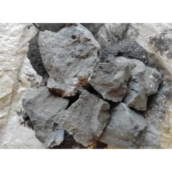 Mineral Processing Test of High-Sulfur Gold Ore