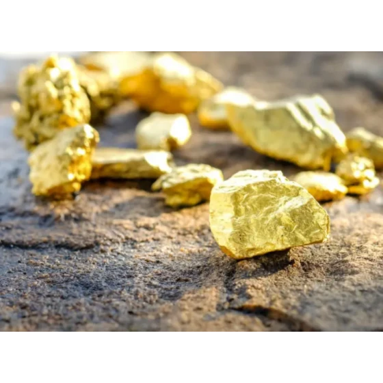 Gold Ore Processing Test