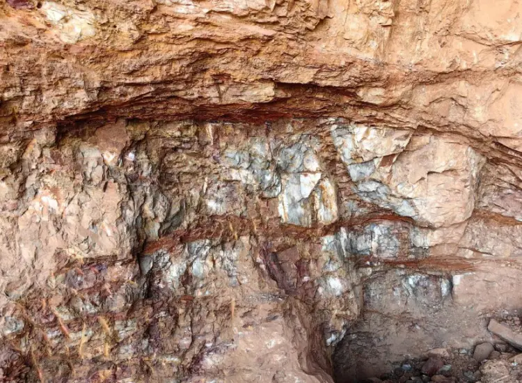 Mineral Processing Test of Polymetallic Oxide Ore