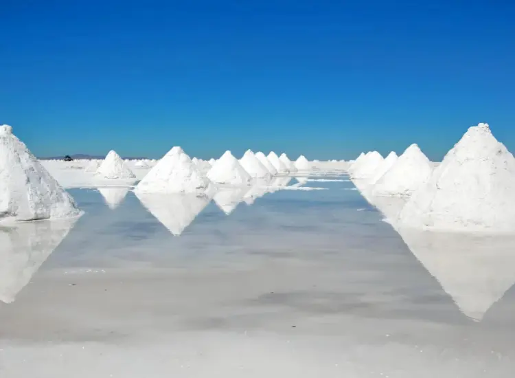 Lithium Extraction by Flotation from Salt Lake Brine Resources