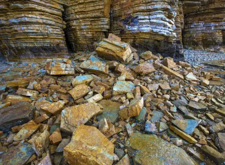 Mineral Processing Test of Gold Ore