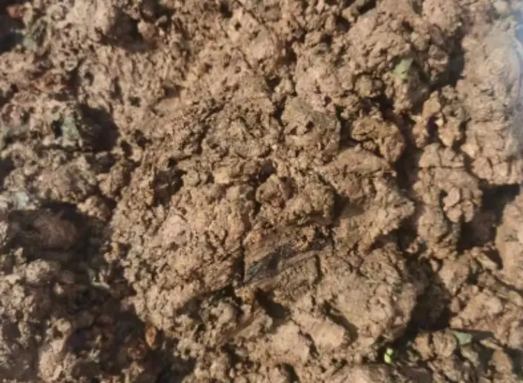 Beneficiation Test of Metallic Oxide Ore Slimes