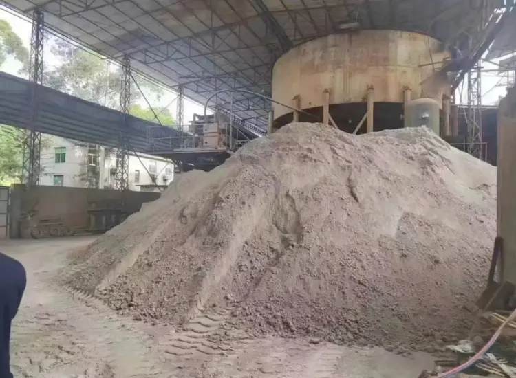 Lithium Extraction Test from Low-Grade Clay-Type Lithium Ore