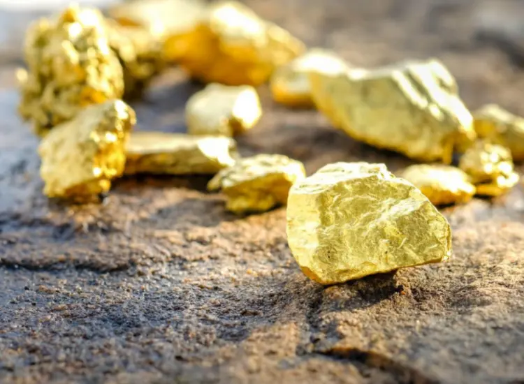 Gold Ore Processing Test