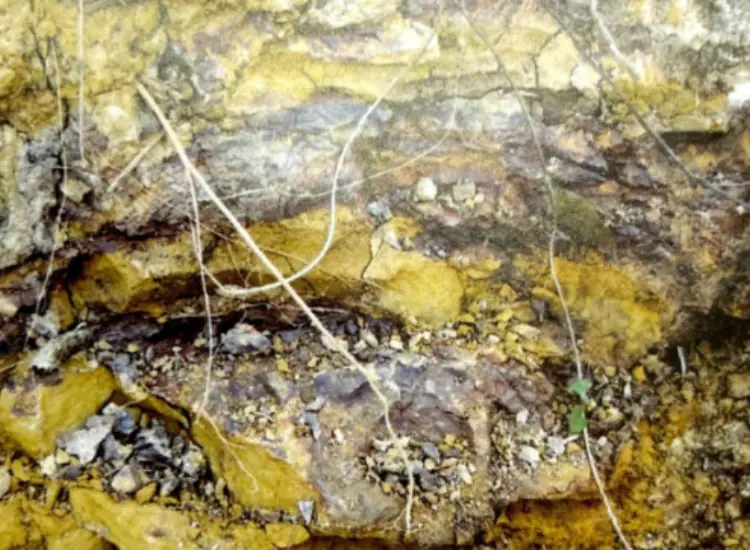 Leaching Process Test for Refractory Associated Ores