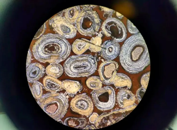 Dephosphorization and Desilication Test of Oolitic Hematite