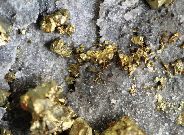 Mineral Processing-Metallurgy Test of Complex Refractory Gold Ore
